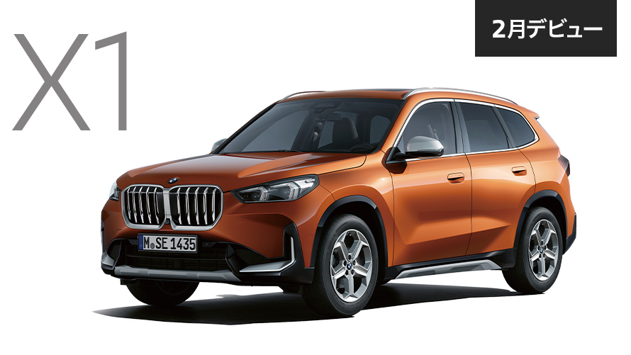 New BMW X1 xDrive20i xLine